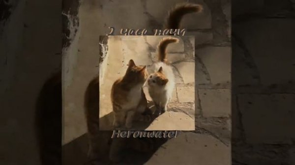 Heronwater-2 часа ночи