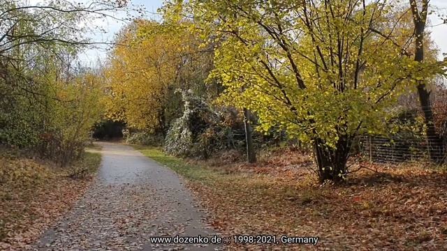 Что такое осень - это небо. Под гитару. смотреть онлайн