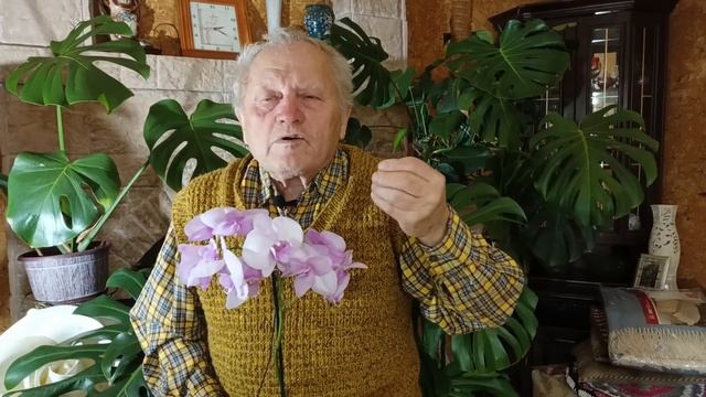 От природного к регенеративному...Секреты №3. Кто прав? В. Карелина, И.Русских, Г.Распопов? смотреть онлайн