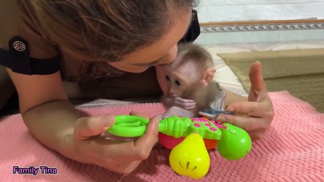 Baby Monkey Tina Is Sad When Her Mother Doesn't Care