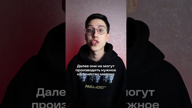 Почему веганы не пьют молоко? Правда о молоке за 1 минуту! смотреть онлайн