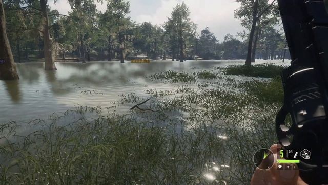 The Hunter:Call of The Wild PL. Jak polować na te potwory - amerykańskie aligatory смотреть онлайн
