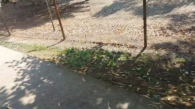 ВЛОГ: 4День. 2часть. Наконец-то нашли пляж с магнитным песком. Не пройти к воде😔 смотреть онлайн