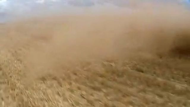 Claas Lexion 570 смотреть онлайн