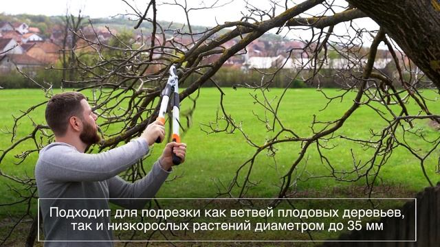 Сучкорез телескопический Plantic Pro80