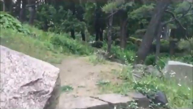 All Nippon Trip - HIBIYA Green Oasis in Business Area ~Hibiya Park 3~ смотреть онлайн