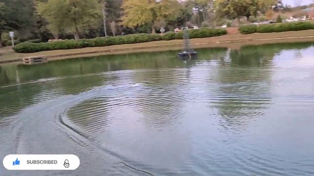 Brushless Proboat Jet Jam Test Run смотреть онлайн