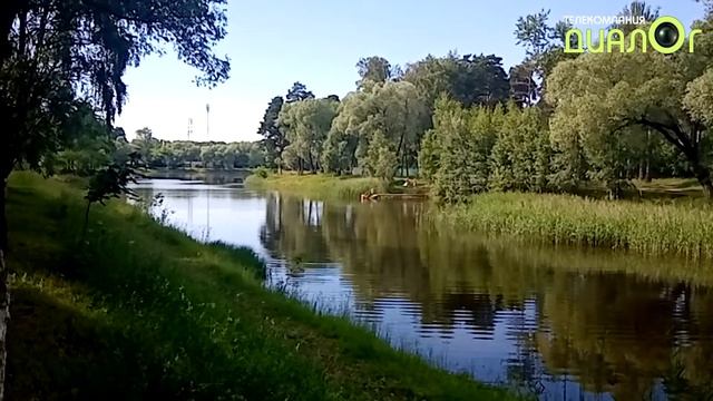 Пруд в Быково (Видеоблог Евгения Степанова) смотреть онлайн