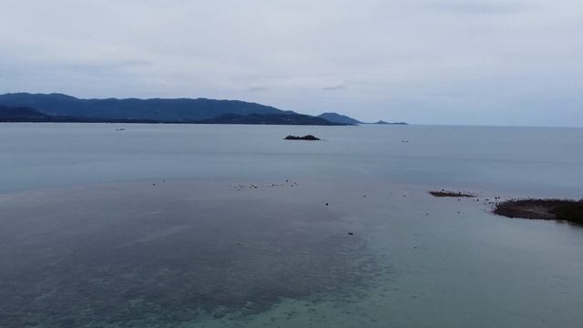 Pig Island (Koh Madsum) Koh Samui. смотреть онлайн