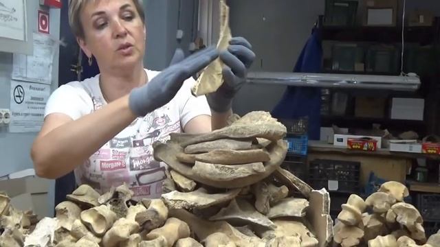 Тупики для обработки кож из раскопа по улице Привокзальная, 14В смотреть онлайн