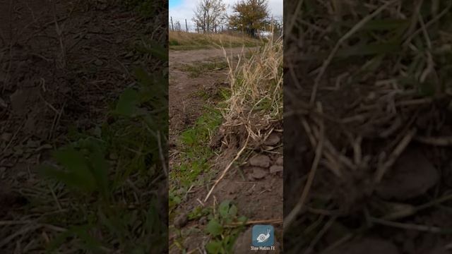 r2 800 a calibrando la mira a 30metros смотреть онлайн