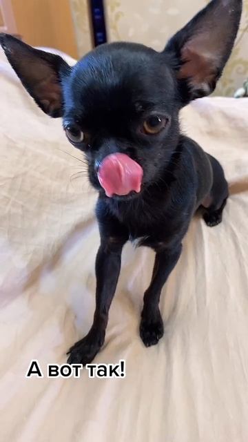 Утро начинается не с кофе....... смотреть онлайн