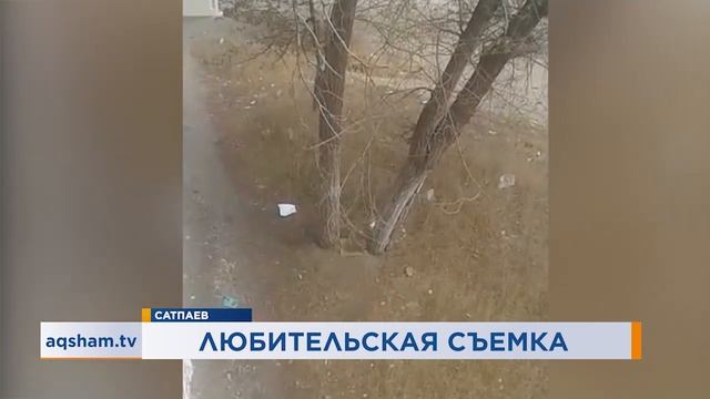 Выпуск новостей от 26.09.2019 (рус.) смотреть онлайн
