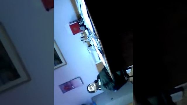 20 августа 2019 г. смотреть онлайн
