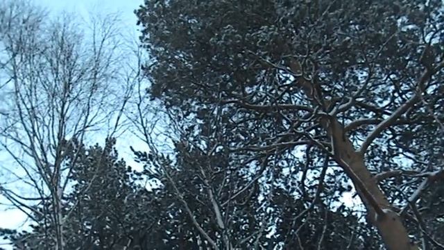 50 оттенков серого, местный ремикс смотреть онлайн