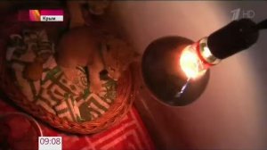 новости выпуск 21.00 Первый канал .12.2015