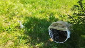 Роёвни фирмы ,,ГРЮНИГ".