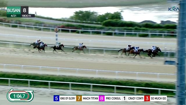 (Busan) 2023.04.21 R8 Class 1 (1800M) Special Weight B смотреть онлайн