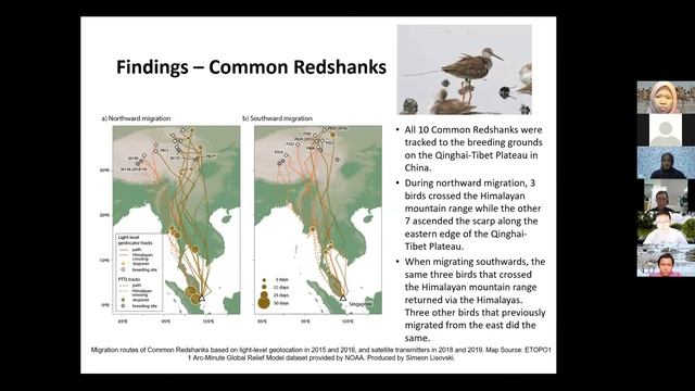 Fearless Migration: Stories Of Shorebirds Across Southeast Asia. (QNA Excluded) смотреть онлайн