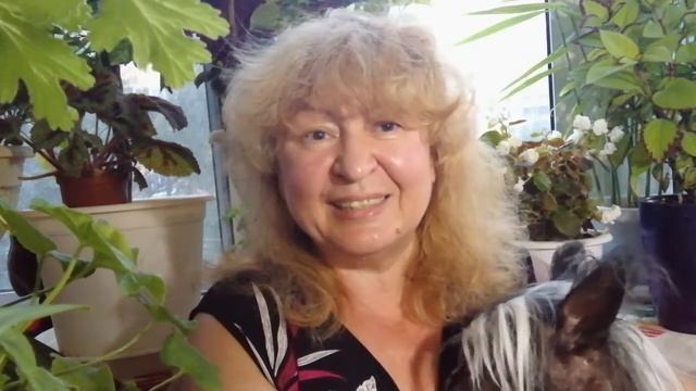 Видеопоздравление №1