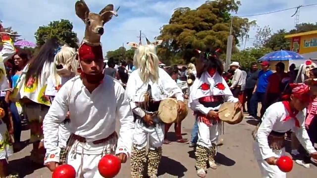San Miguel Zapotitlan, SS2017 judios VS2017, En las Higueras de los Natoches Clan 14/20 ... смотреть онлайн