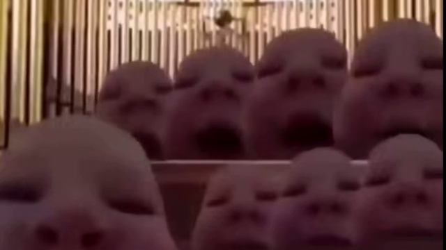 Музыкальный мем смотреть онлайн