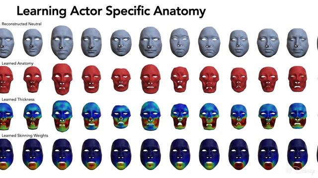 Anatomically Constrained Implicit Face Models смотреть онлайн
