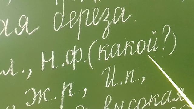 Морфологический разбор имени прилагательного. 3 класс