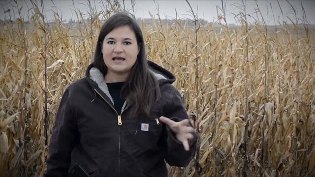 Market Analysis - Elaine Kub - October 21, 2016 смотреть онлайн