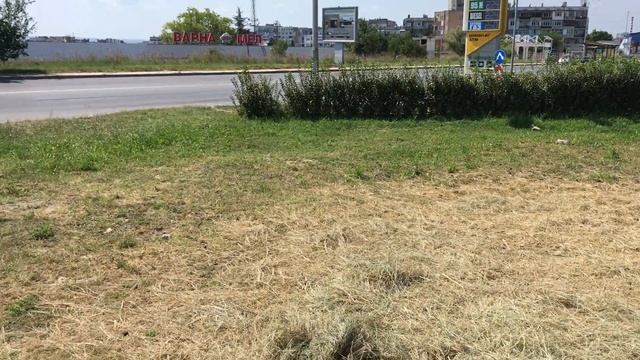 Камили в квартала смотреть онлайн