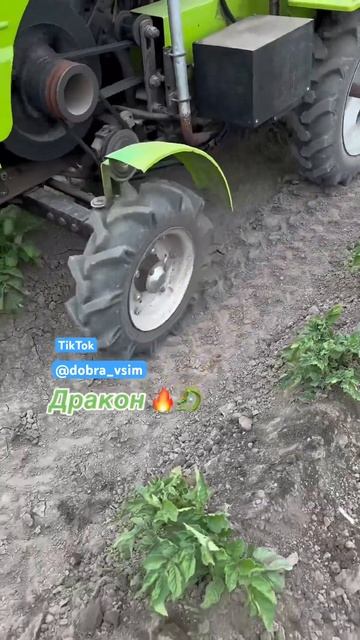 МиниТрактор в работе 🍀🚜🐉#traktor #окучник #трьохточка #картошка #potato #дисковыйокучник смотреть онлайн