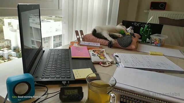 Study With Me ❤️ | 3 HOURS POMODORO SESSION! | 50 Min Study 10 Min Break