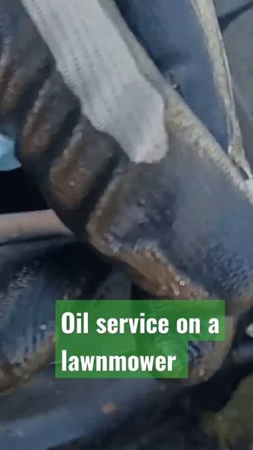 checking oil level on a lawnmower. to protect engine. #lawnmower смотреть онлайн