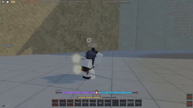 The Best Arrancar Build I Type Soul