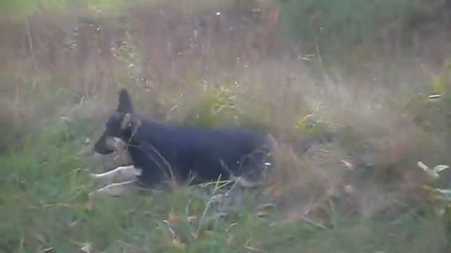 На прогулке