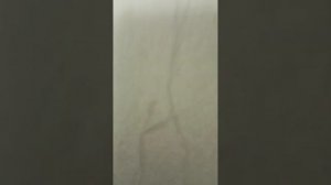 нож fang за 1 минуту за 1 час и за один день
