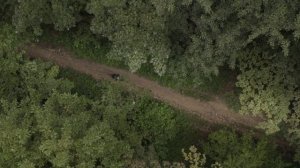 Школа езды на горном велосипеде от Спортмастера-PRO