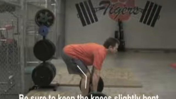 Romanian Deadlift (RDL) - Free Weight