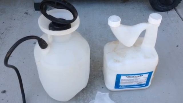 How to Spray For Bugs Yourself - DIY Pest Control Tips смотреть онлайн