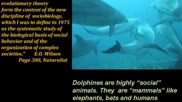 Nature Inspired Music of Time: Prelude to Waldenthree Travelogue смотреть онлайн