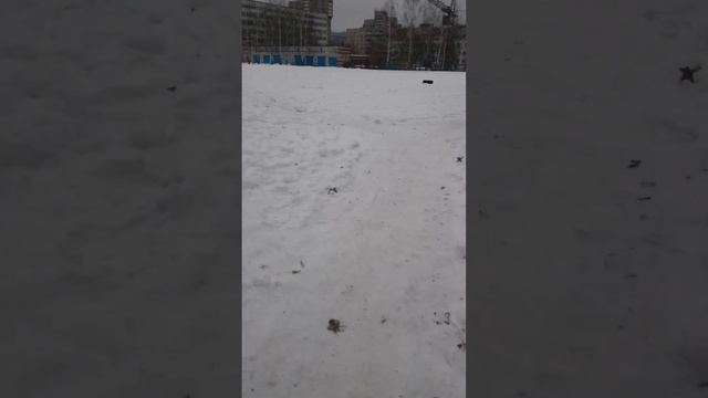 Слежка ФСБ 27 смотреть онлайн