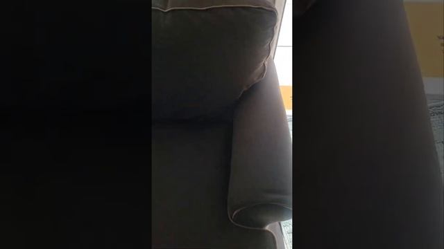 Cleaning a Dirty Nasty Couch With Bissell Spotclean Pro смотреть онлайн