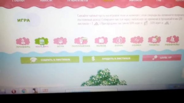 Экономическая игра Golden Tea с выводом денег