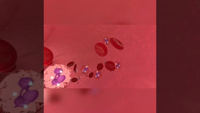 caffeine effect on body #coffee #coffee effect on body #blood cells смотреть онлайн