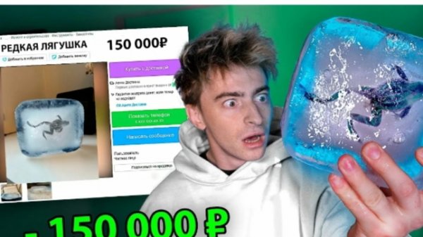 Я ПОКУПАЮ СТРАННЫЕ ОБЪЯВЛЕНИЯ С АВИТО !** Лягушка во льду **