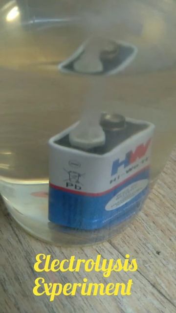 Electrolysis Experiment #shorts