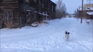 «Брошенки» - профилактика недопущения нахождения детей в заброшенных домах