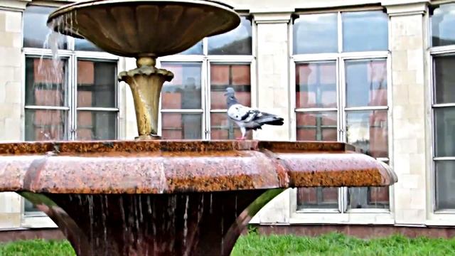 28 секунд моими глазами смотреть онлайн