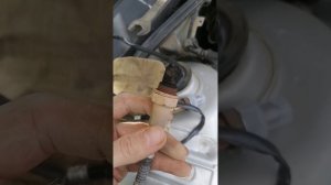 Замена лямды Шкода Октавия тур 1.6 акл