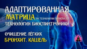 Бронхит, кашель 🎶 программа матрица по технологии Гаряева П.П ☀️ SoftRadio.ru